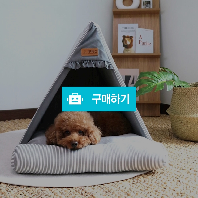 개과천선 강아지 애견 밀리 하우스 텐트 고양이 집 내부쿠션 포함 / 개과천선 / 디비디비 / 구매하기 / 특가할인