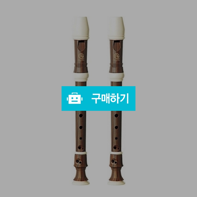 엔젤 분리형 우드전사 소프라노 리코더 AWR-SW / 설래임 / 디비디비 / 구매하기 / 특가할인