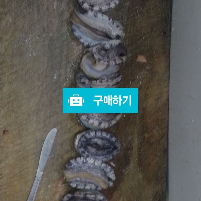 완도 전복9미  1k9개 / 태민수산님의 스토어 / 디비디비 / 구매하기 / 특가할인