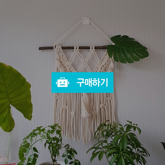 몬스테라 조화 월행잉 / 노을빛 / 디비디비 / 구매하기 / 특가할인