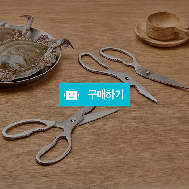 에비히슈테른 스텐 양손잡이 분리형 주방가위 / 노라 리빙 / 디비디비 / 구매하기 / 특가할인