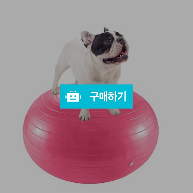 강아지 짐볼 / 비바펫 / 디비디비 / 구매하기 / 특가할인