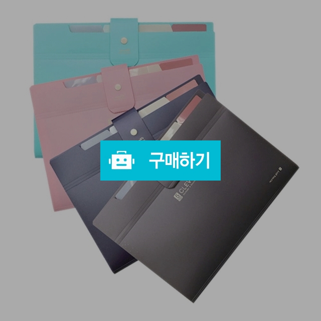 모닝글로리 아코디언파일 A4 클레버 간편 도큐멘트화일 5분류 / 설래임 / 디비디비 / 구매하기 / 특가할인