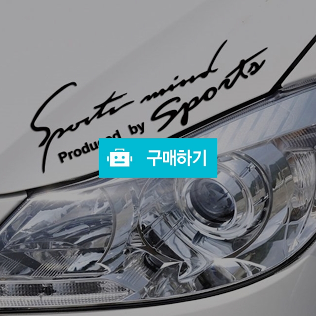 자동차 레터링 차량용 스티커 데칼 주문제작 / 화이트팩토리 / 디비디비 / 구매하기 / 특가할인