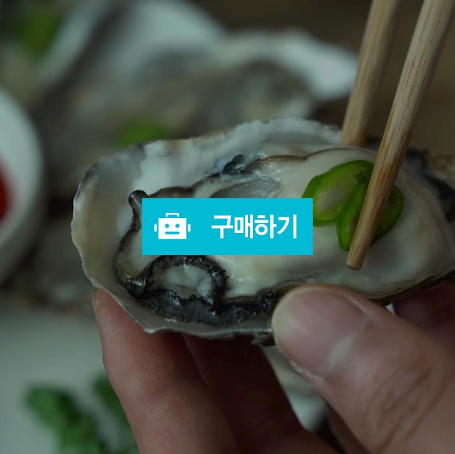 경남 통영 김균님의 생굴 1kg 매일 채취하는 고품질 통영굴 / 행복한농부 스토어 / 디비디비 / 구매하기 / 특가할인