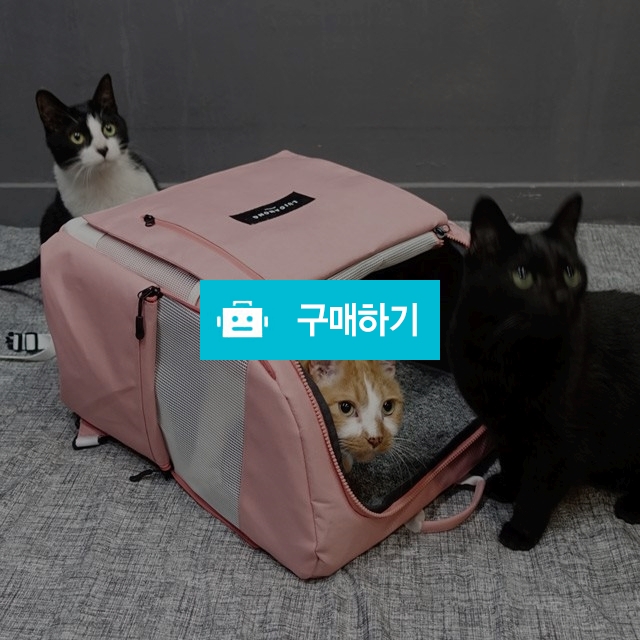 [루이까몽] 아밍백 강아지 고양이 이동가방 백팩 캐리어 하우스 이동장 / 스튜디오N / 디비디비 / 구매하기 / 특가할인