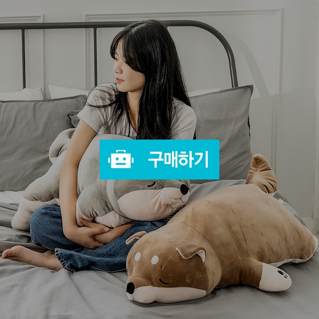 토이웍스 KC정품 눕시바 대형 강아지 애착인형 50cm / 토이앤드림 / 디비디비 / 구매하기 / 특가할인