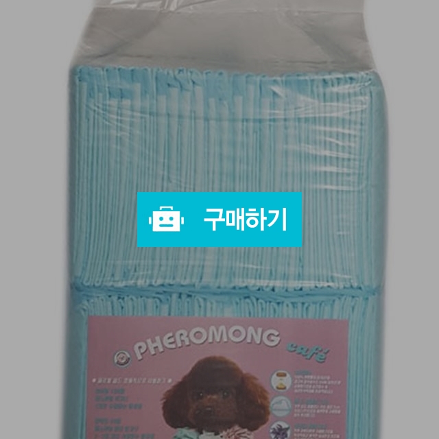 배변패드50매(30g)고급형 / 오아이독님의 스토어 / 디비디비 / 구매하기 / 특가할인