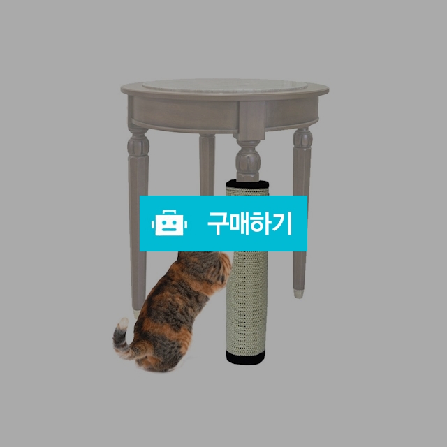 고양이스크래쳐 장난감 스트래스해소 / 마이독님의 스토어 / 디비디비 / 구매하기 / 특가할인
