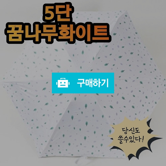 20대 초경량 5단 암막 레이스 우양산 양산 우산 자외선차단 꿈나무화이트 / 비바채님의 스토어 / 디비디비 / 구매하기 / 특가할인