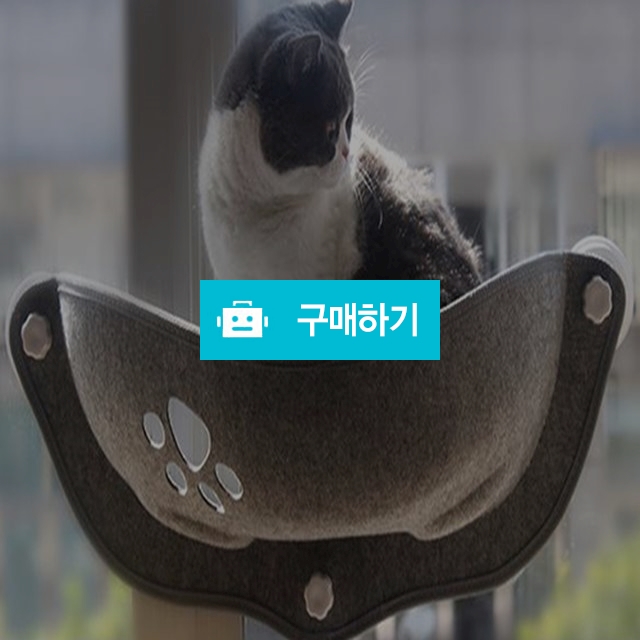 탁펫 고양이 발바닥 윈도우 해먹 / 리빙듀오님의 스토어 / 디비디비 / 구매하기 / 특가할인