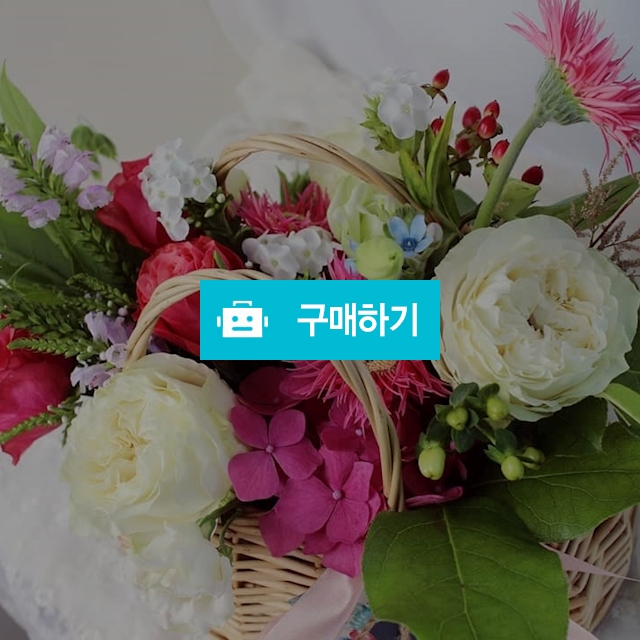 더빈스 꽃바구니 / 더빈스님의 스토어 / 디비디비 / 구매하기 / 특가할인