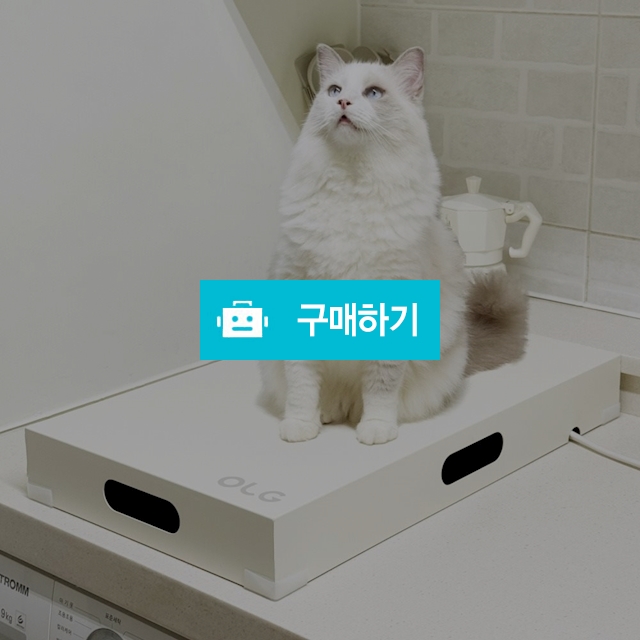 올지 세이프그립 인덕션커버 가스렌지 덮개 쿡탑 가스레인지 커버 받침대 / 올지 / 디비디비 / 구매하기 / 특가할인