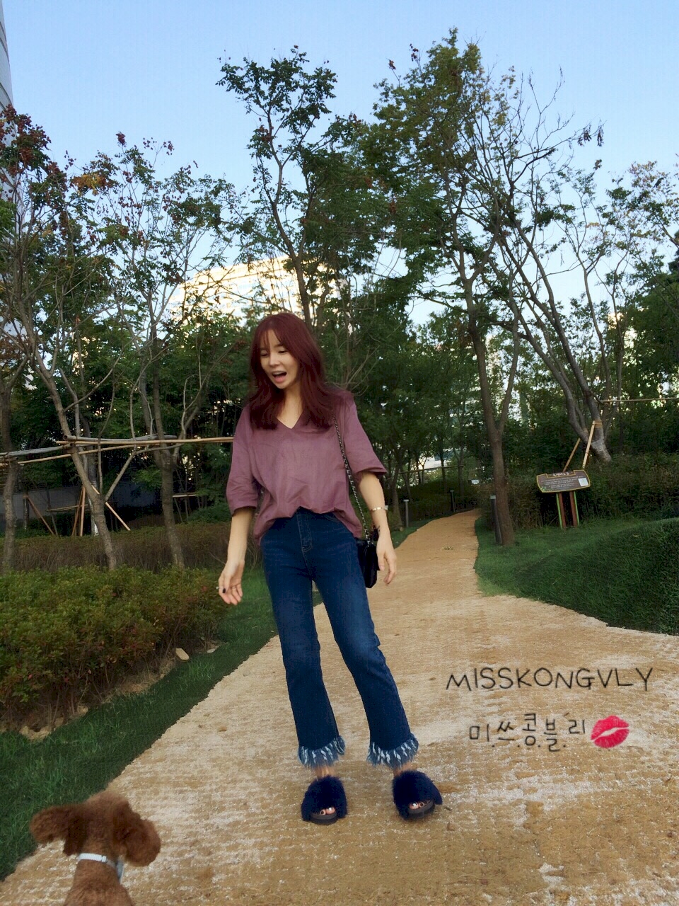 이미지