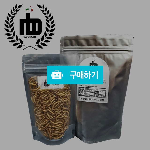 [nb밀웜] 고소애 식용곤충 건조밀웜 (25/50g) (국내산) / nb밀웜곤충농장님의 스토어 / 디비디비 / 구매하기 / 특가할인
