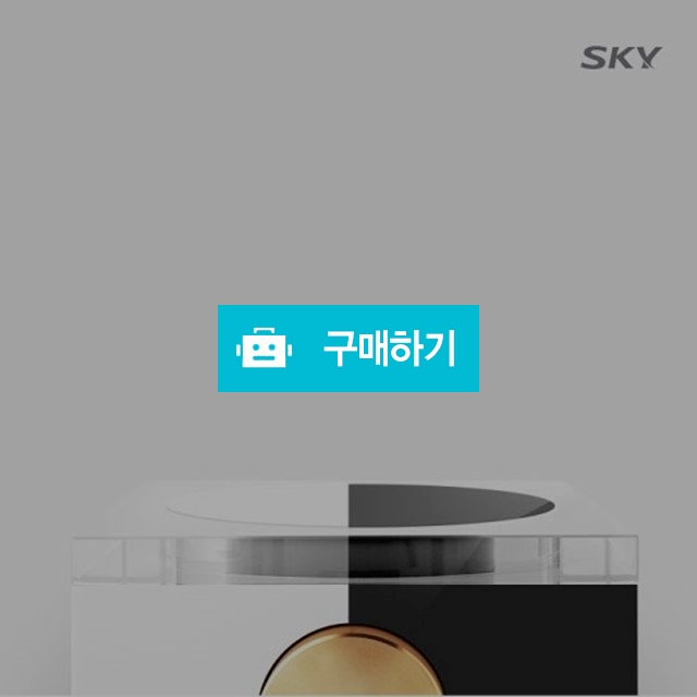 팬택 스카이 아임백 스톤 무선충전 블루투스 스피커 / 프렌즈 스토어 / 디비디비 / 구매하기 / 특가할인