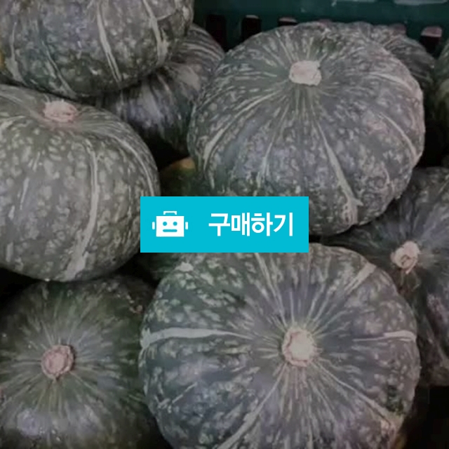 엄마가만드신 리얼호박식혜 할인이벤트 / 곰청님의 스토어 / 디비디비 / 구매하기 / 특가할인