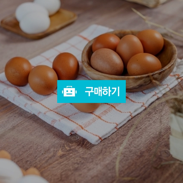 [시선] HACCP인증 쫀득쫀득한 영양간식 구운계란 20개 / 온라인대장님의 스토어 / 디비디비 / 구매하기 / 특가할인