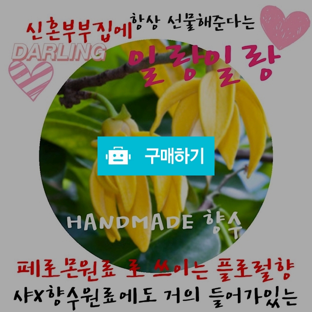 (수제향수)일랑일랑 type / 퍼퓸드레스 향수를입다 / 디비디비 / 구매하기 / 특가할인