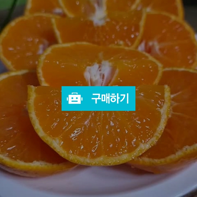과즙팡팡 제주도 농장 노지 조생감귤 4.5kg / DAOSO5949 / 디비디비 / 구매하기 / 특가할인
