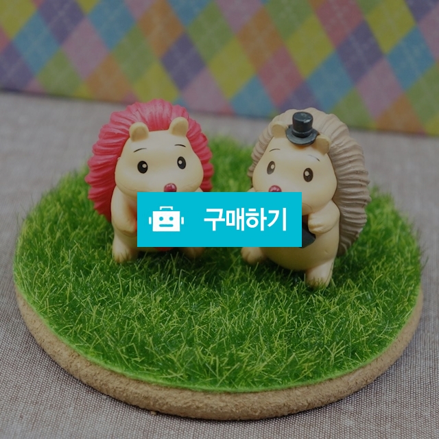 고슴도치미니어쳐2종세트 신사숙녀 프로포즈 테라리움 홈데코 인테리어소 / 짱카몰 / 디비디비 / 구매하기 / 특가할인