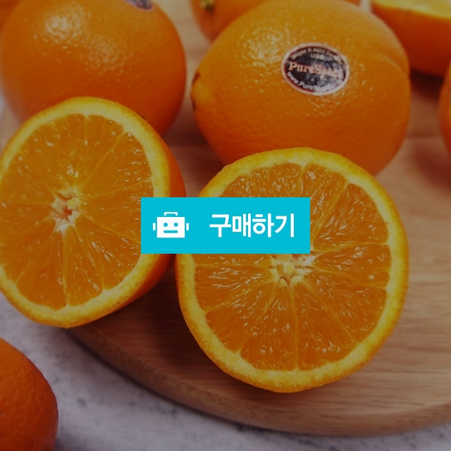 고당도 퓨어스펙 블랙라벨 오렌지 대과 / 백미양식 / 디비디비 / 구매하기 / 특가할인