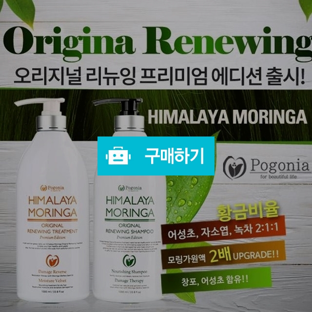 포고니아 히말라야 모링가 샴푸 & 트리트먼트 ( 1000 미리 ) / 포고니아코리아님의 스토어 / 디비디비 / 구매하기 / 특가할인
