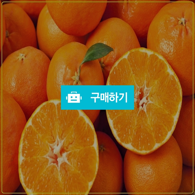 서귀포 조생 효돈 고당도 위미 감귤 5kg,10kg제주귤 택배 귤한박스 농협귤 농장 밀감 / 세상 모든 농수산 / 디비디비 / 구매하기 / 특가할인