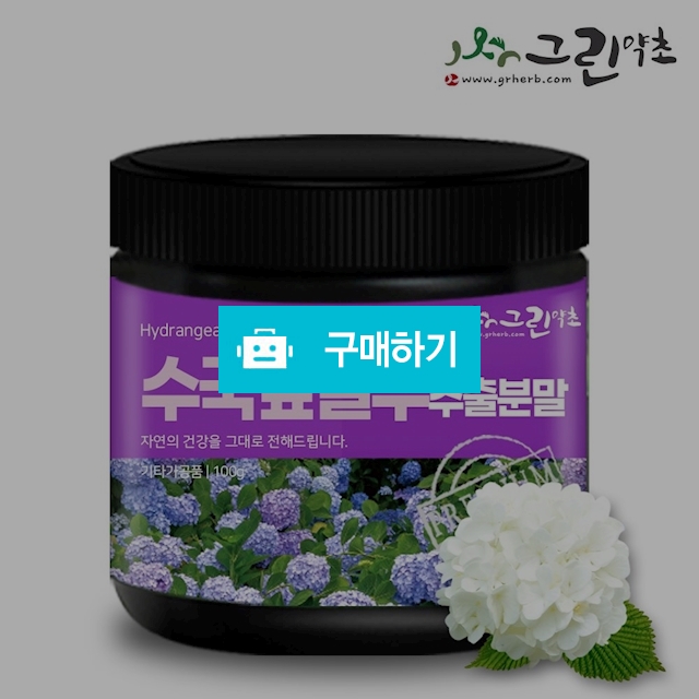 수국잎 열수 추출물 분말 가루 / 그린약초 / 디비디비 / 구매하기 / 특가할인