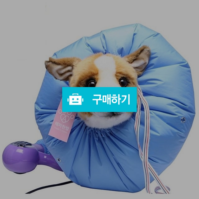 드라이한방 / petfamworld / 디비디비 / 구매하기 / 특가할인