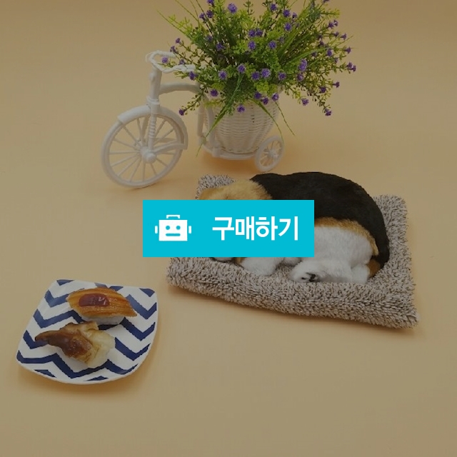 이색선물 차량용 잠자는 강아지 고양이 제습 탈취 장식 / 이공이공샵 / 디비디비 / 구매하기 / 특가할인
