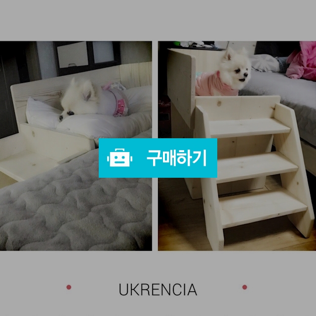 댕댕이와 함께 강아지원목침대 / KGI이어드림님의 스토어 / 디비디비 / 구매하기 / 특가할인