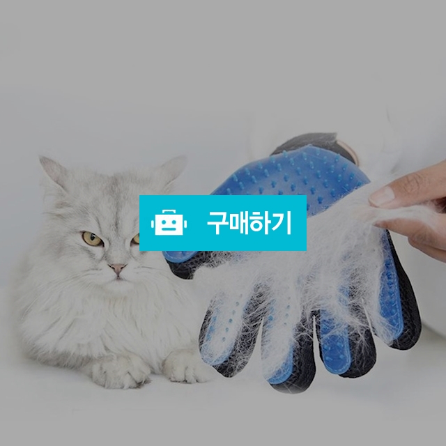 마이독 강아지 고양이 트루터치 펫브러쉬 털제거 장갑 / 마이독님의 스토어 / 디비디비 / 구매하기 / 특가할인