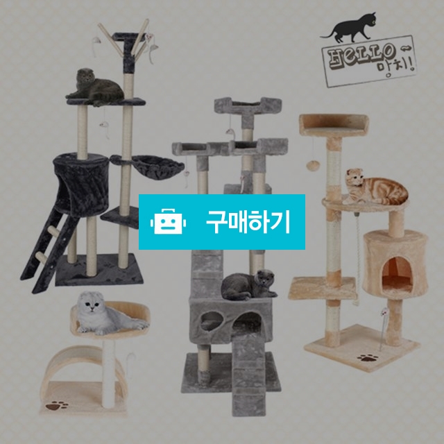프리미엄 캣타워 25종 모음 / 뷰티망고님의 스토어 / 디비디비 / 구매하기 / 특가할인