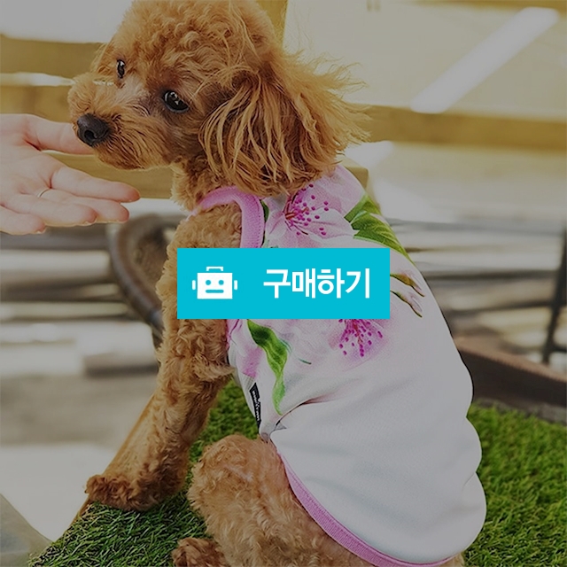 강아지옷 모던퍼피 풀프린팅 Sakura Sleeve / 모던퍼피님의 스토어 / 디비디비 / 구매하기 / 특가할인