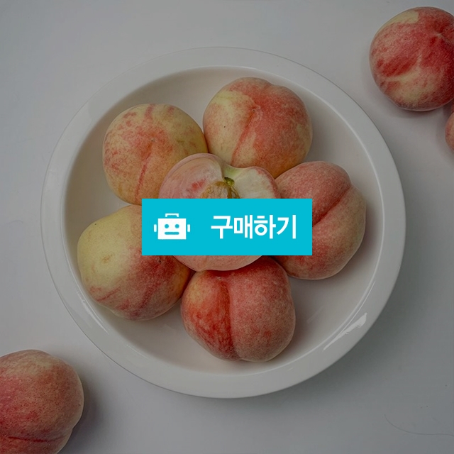 [초특가]대극천 복숭아 백도 1kg 2kg / 영 프루트 Young Fruits / 디비디비 / 구매하기 / 특가할인