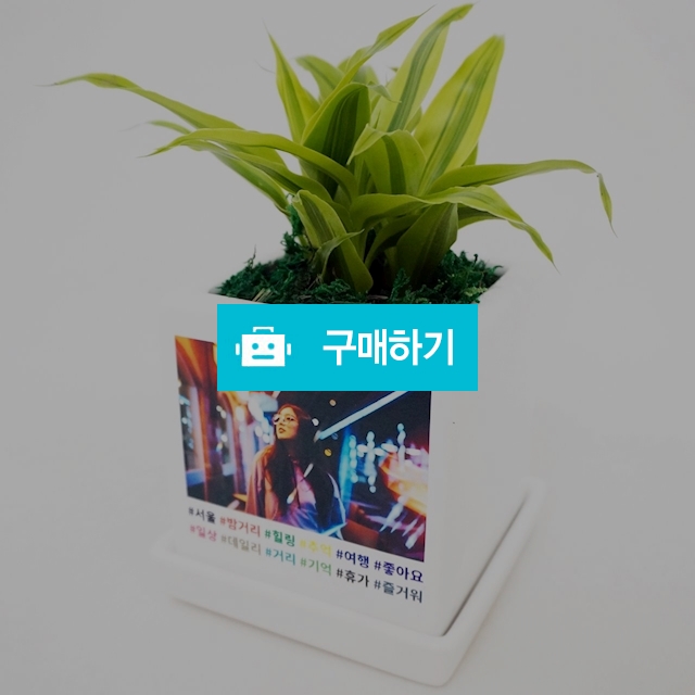 커스텀 태그 포토 미니화분 / 미포님의 스토어 / 디비디비 / 구매하기 / 특가할인