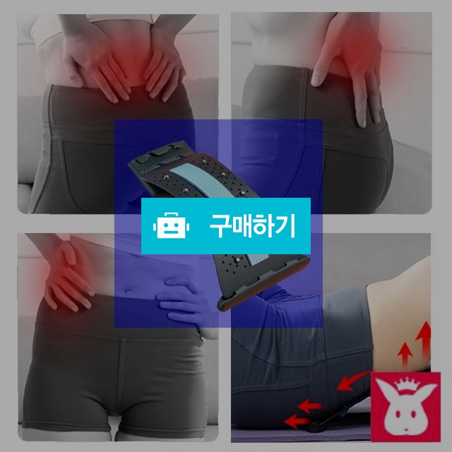 토토헬스리빙 척추기립금 도수 견인치료 허리통증완화운동 지압자석 10개 / 프리미엄리빙스토어 / 디비디비 / 구매하기 / 특가할인