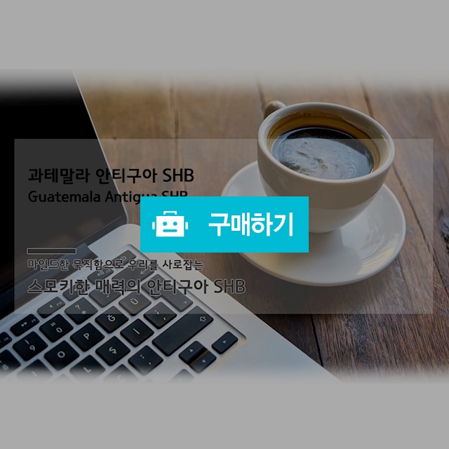 커피 원두 로스팅 싱글 오리진 과테말라 안티구아 SHB 200g / 한복과 커피 철릭공방 꽃길 / 디비디비 / 구매하기 / 특가할인