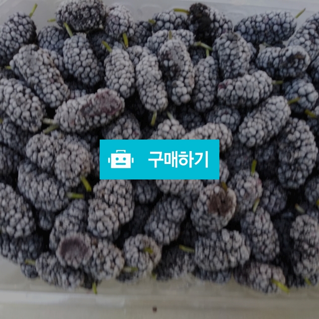 오디(6kg) / 산내음 오들개 농원 / 디비디비 / 구매하기 / 특가할인