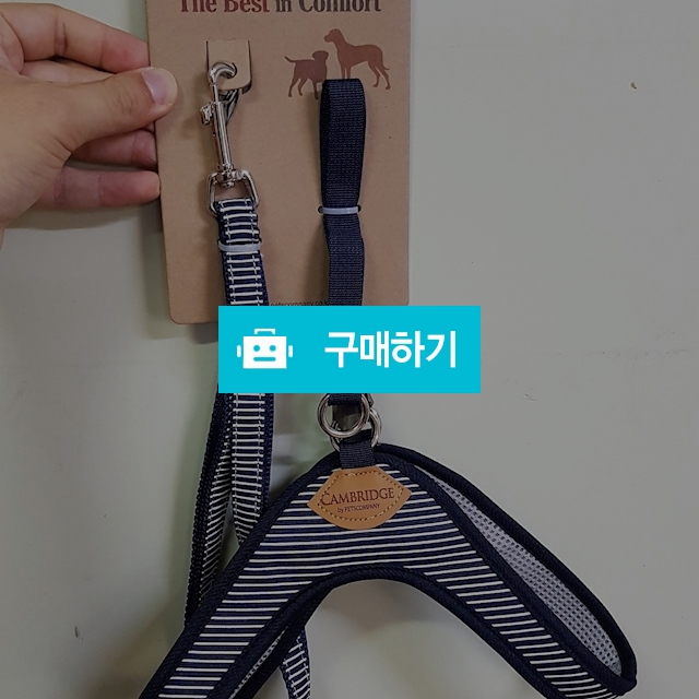 이지하네스(S,M,L,XL) / 럭셔리펫몰 / 디비디비 / 구매하기 / 특가할인