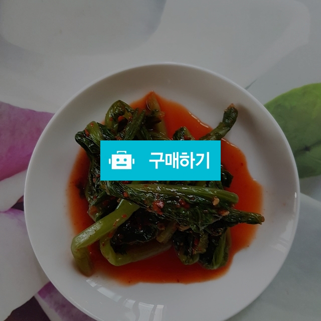 열무김치 / love1203 / 디비디비 / 구매하기 / 특가할인