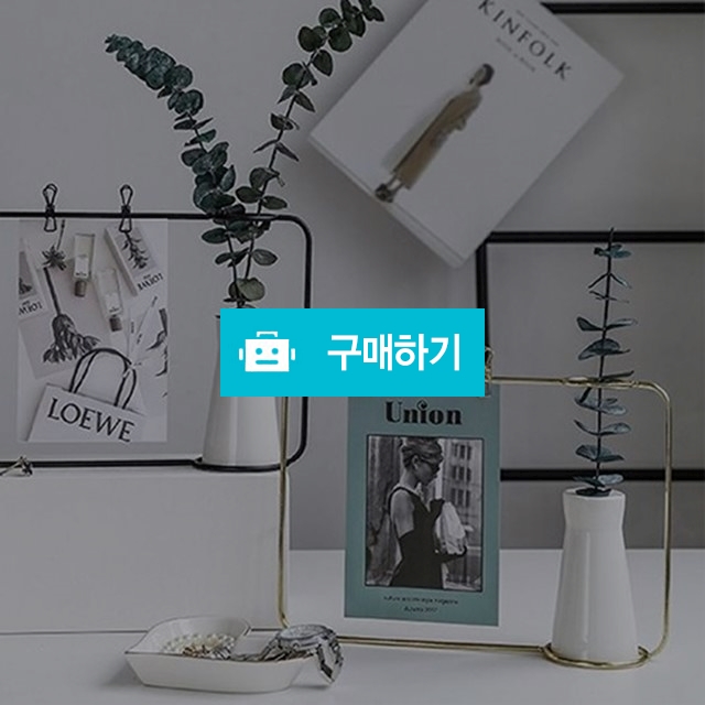 미니 인테리어화분 난 다육이 실내 벽걸이화분 홈 작은정원 / 댕유마켓님의 스토어 / 디비디비 / 구매하기 / 특가할인