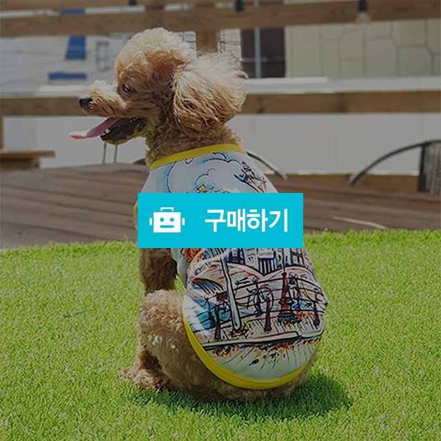 강아지옷 모던퍼피 풀프린팅 Landscape Sleeve / 모던퍼피님의 스토어 / 디비디비 / 구매하기 / 특가할인