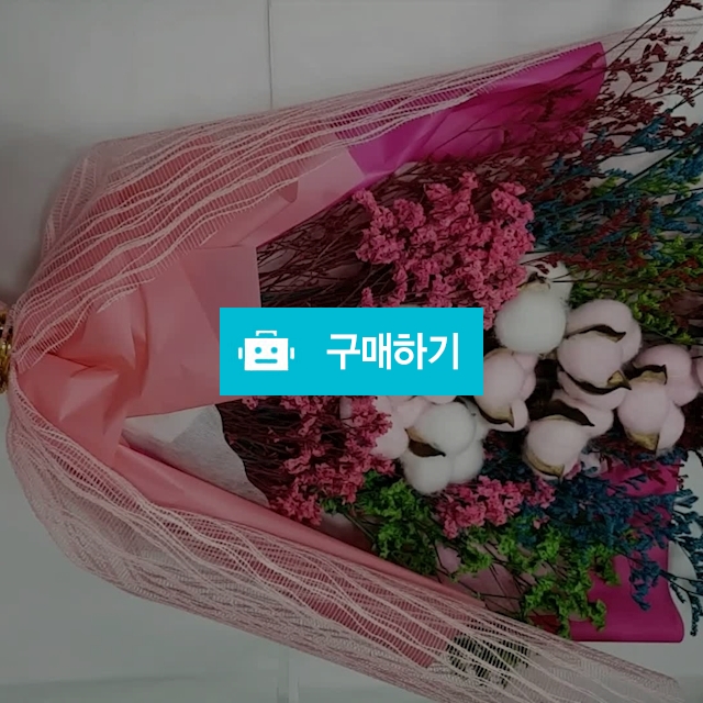 숲속느낌 목화꽃다발 프리저드꽃다발 / 꽃같은너에게님의 스토어 / 디비디비 / 구매하기 / 특가할인