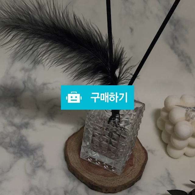 제이쥬 블랙깃털 디퓨저 100ml / JAYJOO / 디비디비 / 구매하기 / 특가할인