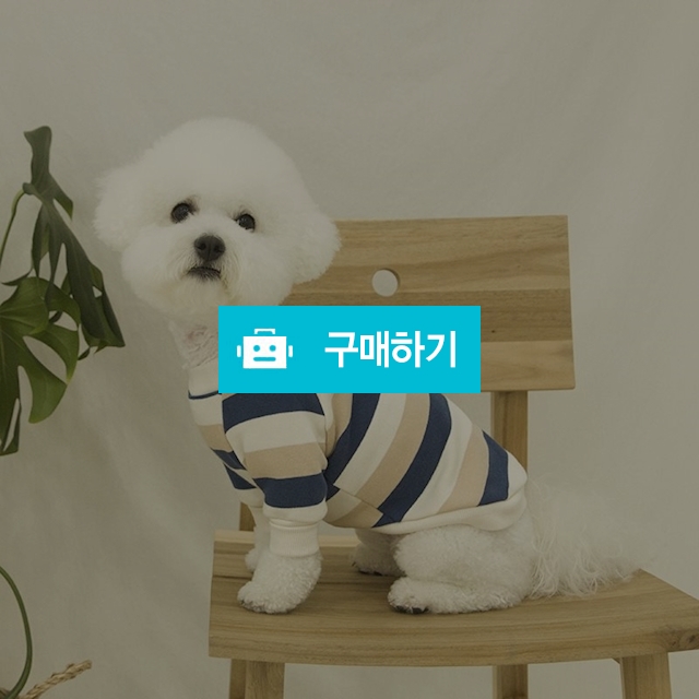 데일리 강아지 맨투맨 _ 베이지 / 퍼피온님의 스토어 / 디비디비 / 구매하기 / 특가할인
