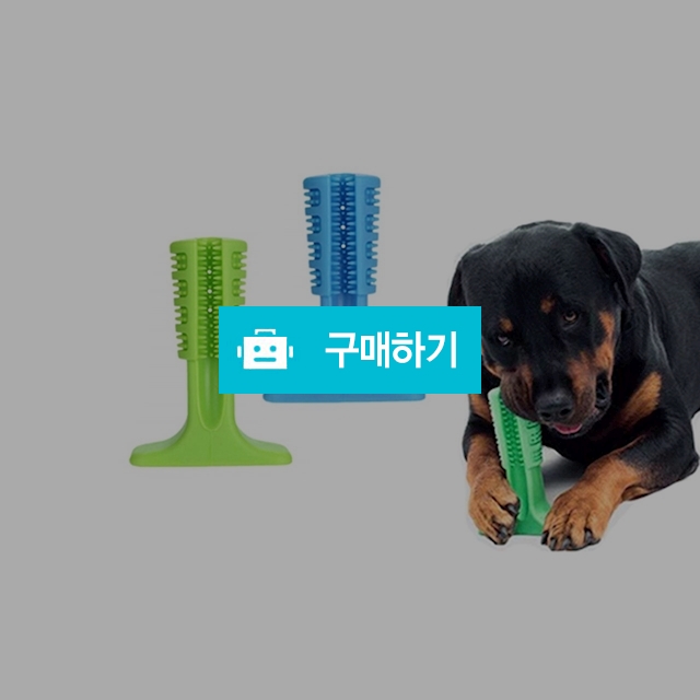 마이독 강아지 고양이 치석제거 장난감 셀프 칫솔 / 마이독님의 스토어 / 디비디비 / 구매하기 / 특가할인