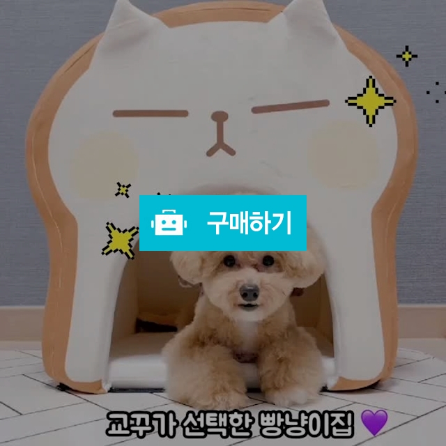 빵냥이 강아지 고양이 하우스 집 / 멍뭉스 / 디비디비 / 구매하기 / 특가할인