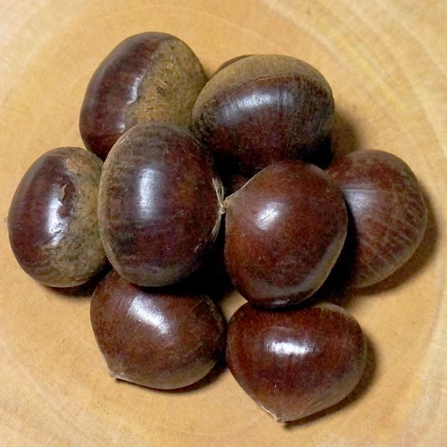 공주밤 햇밤 옥광밤 2kg/4kg, 15,800원, 소담한식탁 [디비디비] 공주밤 햇밤 옥광밤 2kg/4kg | 15,800원